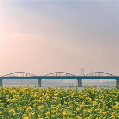 超历史极值 江西南昌锦江河松湖段水位达29.23米